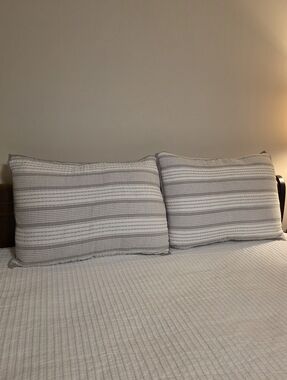 2 Hearth & Hand with Magnolia Standard Woven Stripes Pillow Sham Set